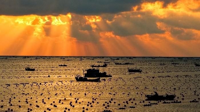 山東榮成：養殖工人披朝霞耕海牧漁