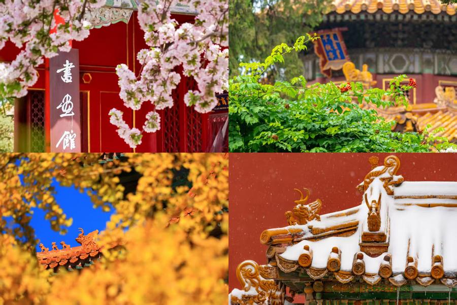 百歲快樂(lè)！一組圖領(lǐng)略故宮四季流轉(zhuǎn)之美