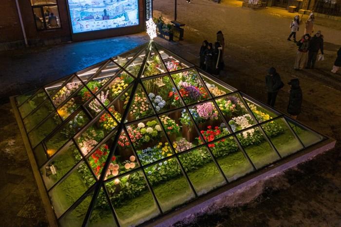 哈爾濱再添浪漫風景 “玻璃花房”引游人