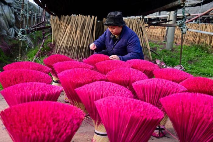 探訪四川“制香第一村”