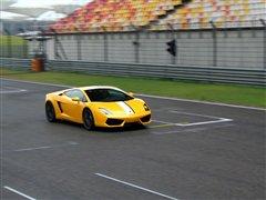 ����Uţ���w��m������LP550-2������ ��܇֮��