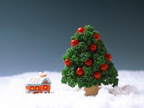 ����ʥ�Q��(ji��)�Ժ��昷ȫ���� ��ʥ�Q�����x��g