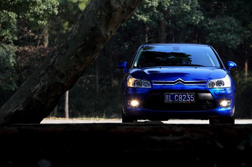 ԇ�{ѩ�F��C4 VTS�I��܇