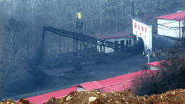 �������P(gu��n)�]Сú�V1355��