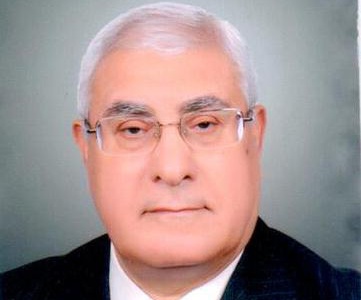 快訊:埃及憲法法院院長曼蘇爾就任臨時總統