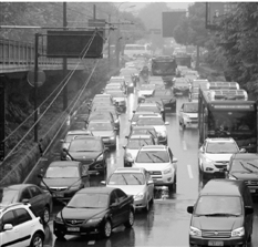 杭州無車日遇臺風網上點贊:天天這樣就好了(圖)