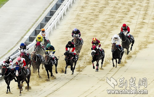 ����ِ�R���d�A��(chu��ng)�� ���e��ҕ�Xʢ��